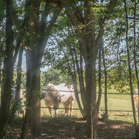 Seyches Bois Des Nauzes 빌라 외부 사진