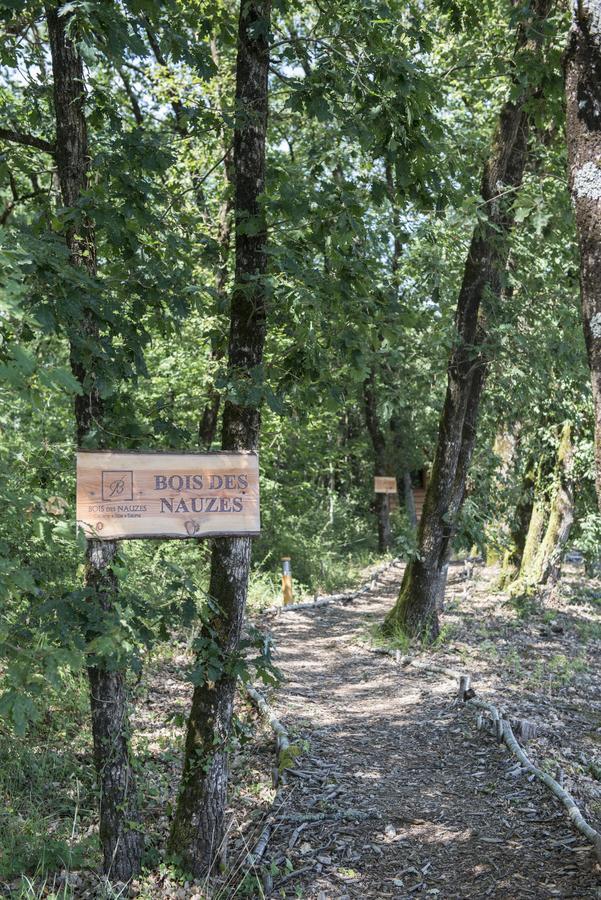 Seyches Bois Des Nauzes 빌라 외부 사진